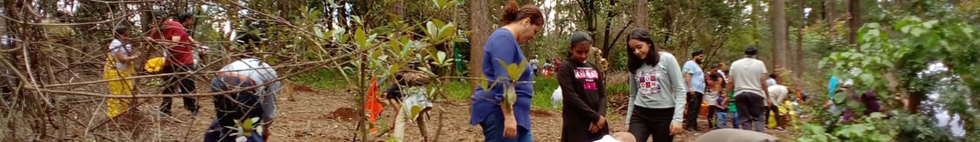 Integrated Ecological Recovery in Karura Forest