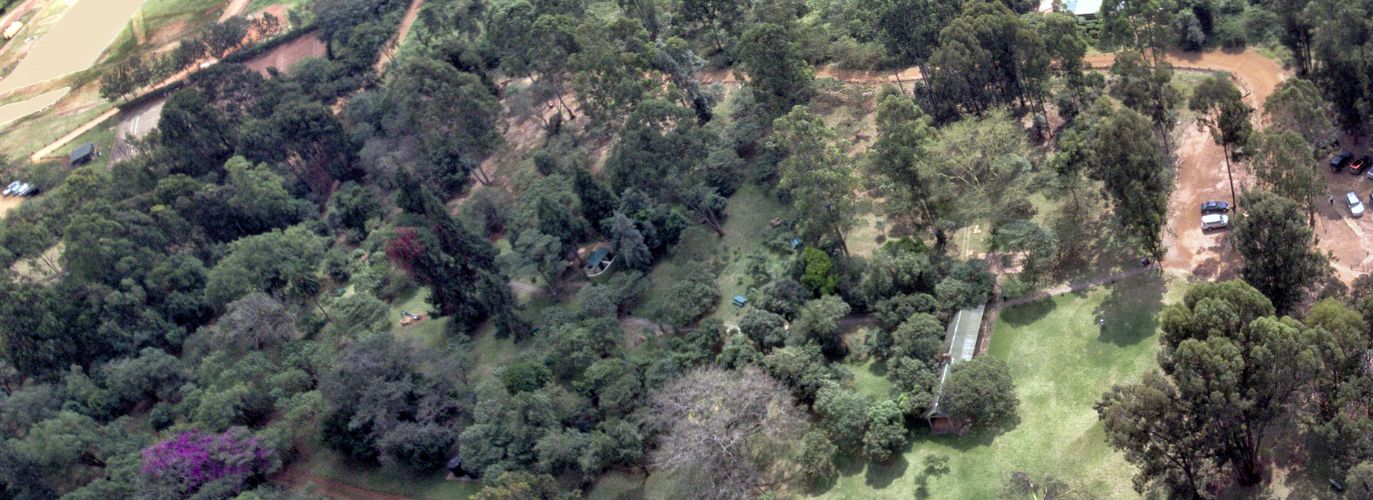 Amani Garden Borehole: Bad News, Good News