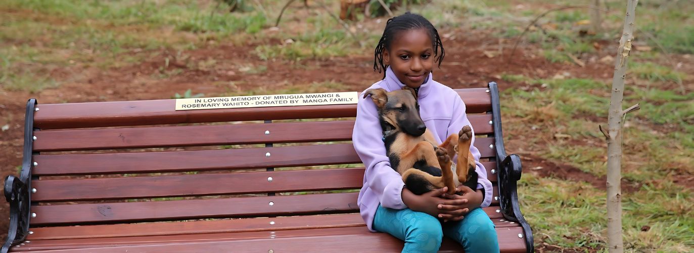 Picnic Bookings Update