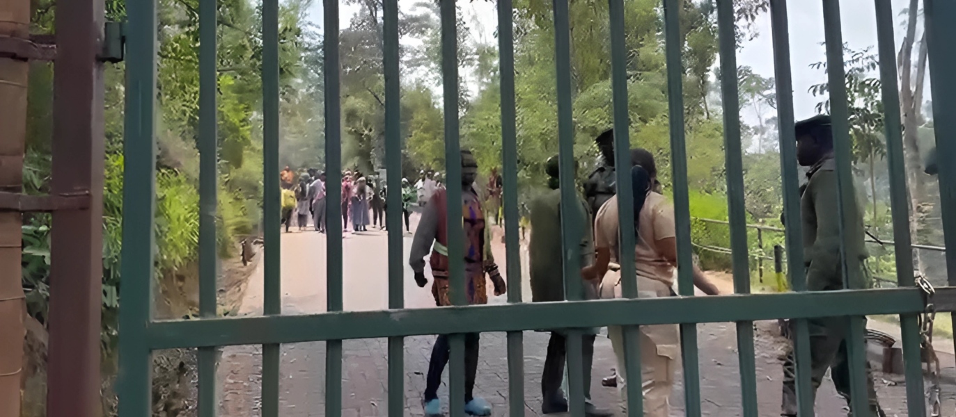 Kenya Forest Service Takes Over Karura Forest Gate Fees in Unilateral Move