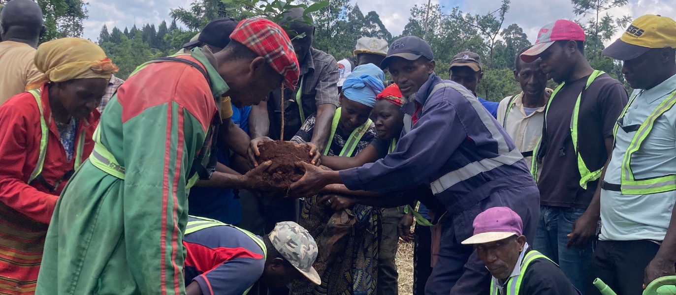 Local community groups support Friends of Karura Forest with tree planting