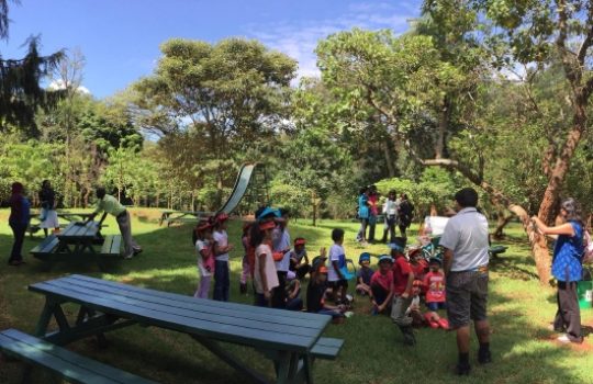 Picnic-sites_Karura-Forest